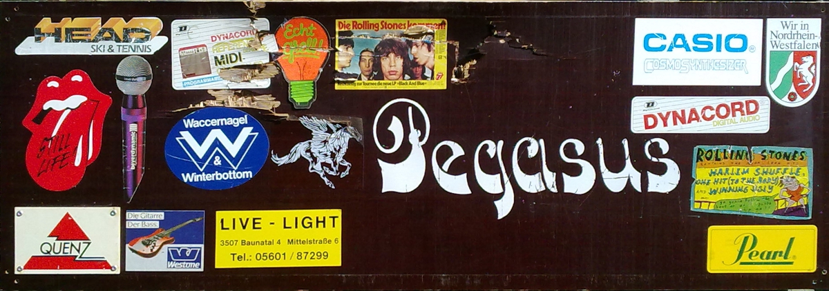 Pegasus Gitarrencase - Destroyed
